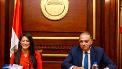 رانيا المشاط تستعرض رؤية وزارة التخطيط في أول لقاء مع لجنة الشئون الخارجية بمجلس الشيوخ