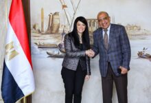 المشاط: 202 مليون يورو ميسرة لدعم الطاقة المتجددة والشبكة الكهربائية