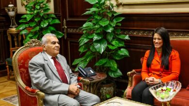 وزيرة التخطيط تلتقي رئيس مجلس الشيوخ لتعزيز التنسيق المؤسسي