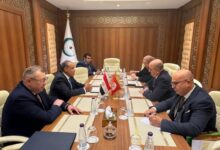 وزير الخارجية: تعزيز التعاون مع تونس لدعم العمل العربي والأفريقي