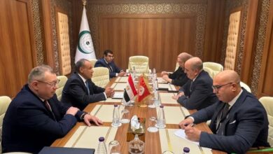 وزير الخارجية: تعزيز التعاون مع تونس لدعم العمل العربي والأفريقي