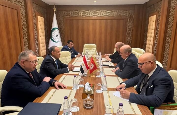 وزير الخارجية: تعزيز التعاون مع تونس لدعم العمل العربي والأفريقي