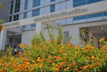 37 مستشفى للإخلاء.. الرعاية الصحية تكثف الجهود الطبية خلال احتفالات عيد الميلاد