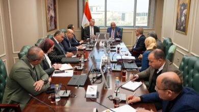 تنسيق بين “الكهرباء والبترول” لتأمين الوقود وتحقيق استقرار الشبكة خلال فصل الصيف