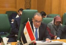 وزير الخارجية: الموقف المصري ثابت لدعم الأراضي الصومالية والفلسطينية
