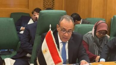 وزير الخارجية: الموقف المصري ثابت لدعم الأراضي الصومالية والفلسطينية