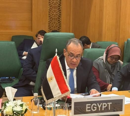 وزير الخارجية: الموقف المصري ثابت لدعم الأراضي الصومالية والفلسطينية