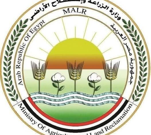 الزراعة: التلقيح الاصطناعي لـ 60 ألف رأس ماشية وفحص وعلاج 40 ألف حالة في شهر واحد