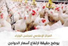 نقص المعروض في الأسواق.. مجلس الوزراء يوضح حقيقة ارتفاع أسعار الدواجن
