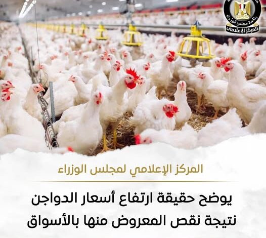 نقص المعروض في الأسواق.. مجلس الوزراء يوضح حقيقة ارتفاع أسعار الدواجن نقص المعروض في الأسواق.. مجلس الوزراء يوضح حقيقة ارتفاع أسعار الدواجن
