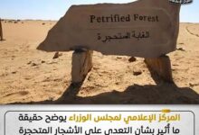 البيئة: الأشجار المتحجرة أُزيلت من خارج نطاق محمية الغابة المتحجرة وجارٍ نقلها