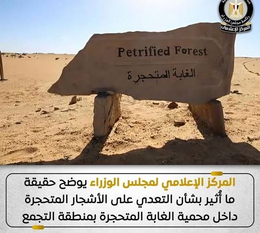 البيئة: الأشجار المتحجرة أُزيلت من خارج نطاق محمية الغابة المتحجرة وجارٍ نقلها