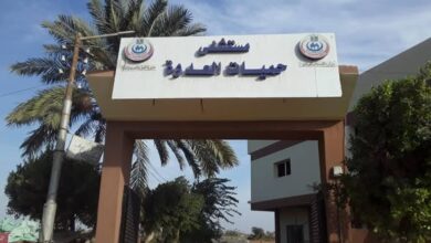 الصحة: تقديم 8.5 مليون خدمة طبية بمحافظة المنيا خلال 2025