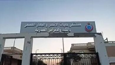 الصحة: تقديم 530 ألف خدمة طبية بمحافظة الأقصر خلال عام 2025 الصحة: تقديم 530 ألف خدمة طبية بمحافظة الأقصر خلال عام 2025