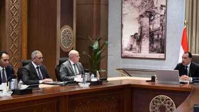 رئيس الوزراء تُنفذ المرحلة الثانية من مبادرة “حياة كريمة” في 1667 قرية