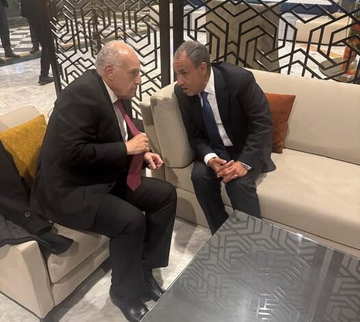 وزير الخارجية يبحث نظيره الجزائري تعزيز التعاون والتنسيق الإقليمي