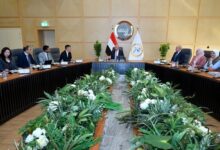 مصر تجذب استثمارات صينية بقيمة 10 مليارات دولار لإنتاج ألواح السيارات والصلب الصناعي