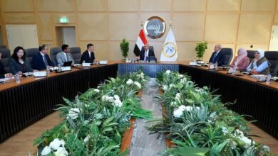 مصر تجذب استثمارات صينية بقيمة 10 مليارات دولار لإنتاج ألواح السيارات والصلب الصناعي