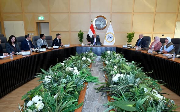 مصر تجذب استثمارات صينية بقيمة 10 مليارات دولار لإنتاج ألواح السيارات والصلب الصناعي