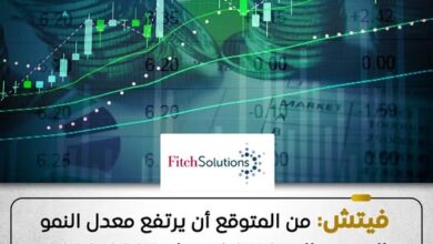 فيتش سولوشنز: اقتصاد مصر ينمو 5.3% في 2026/2025 بفضل الاستثمار والتصدير فيتش سولوشنز: اقتصاد مصر ينمو 5.3% في 2026/2025 بفضل الاستثمار والتصدير
