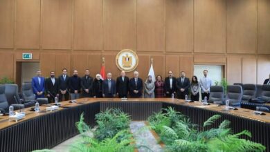 264 مليون عملية تحميل محتوى وارتفاع في مجلات Q1.. حصاد بنك المعرفة المصري 2025