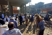 الزراعة تقدم 2900 قافلة بيطرية مجانية خلال 2025