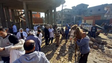 الزراعة تقدم 2900 قافلة بيطرية مجانية خلال 2025