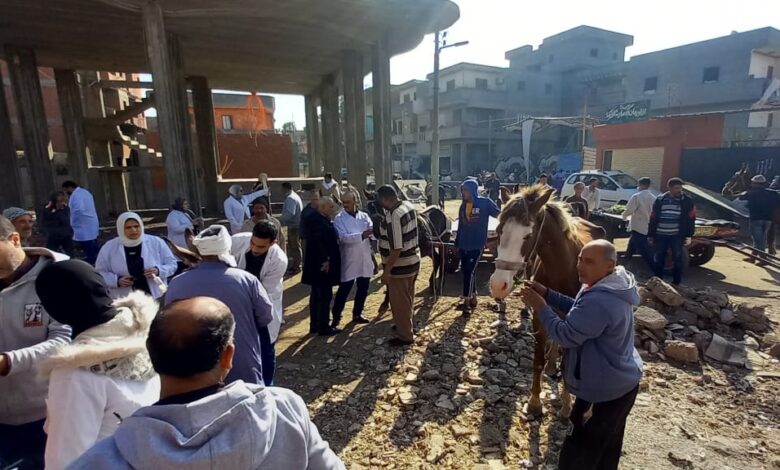 الزراعة تقدم 2900 قافلة بيطرية مجانية خلال 2025