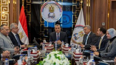 مصر تنتج أتوبيس كهربائي محلي.. وخطط لتحويل 2262 آخرين للغاز