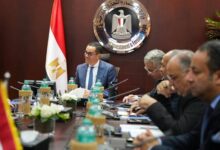 وزير الاستثمار يبحث مع سكاتك النرويجية التوسع في الطاقة المتجددة بمصر