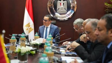 وزير الاستثمار يبحث مع سكاتك النرويجية التوسع في الطاقة المتجددة بمصر