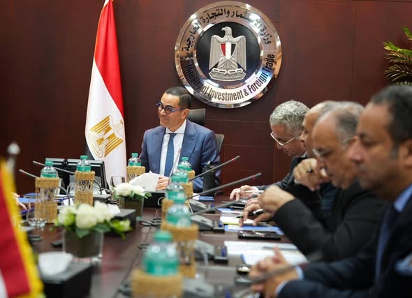 وزير الاستثمار يبحث مع سكاتك النرويجية التوسع في الطاقة المتجددة بمصر