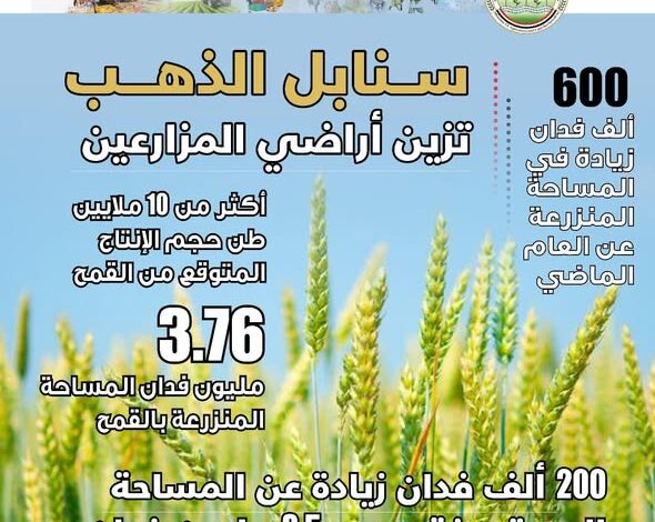 “الزراعة” تعلن تجاوز المستهدف في زراعة القمح بـ 3.76 مليون فدان