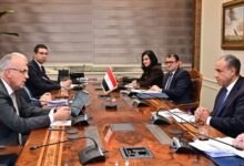 وزيرا الخارجية والري يبحثان قضايا المياه الإقليمية والدولية والتعاون مع دول حوض النيل