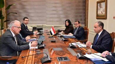 وزيرا الخارجية والري يبحثان قضايا المياه الإقليمية والدولية والتعاون مع دول حوض النيل