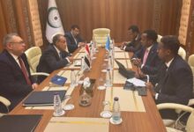 وزير الخارجية: مصر ترفض الإجراءات الأحادية ضد سيادة الصومال