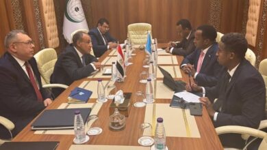 وزير الخارجية: مصر ترفض الإجراءات الأحادية ضد سيادة الصومال وزير الخارجية: مصر ترفض الإجراءات الأحادية ضد سيادة الصومال