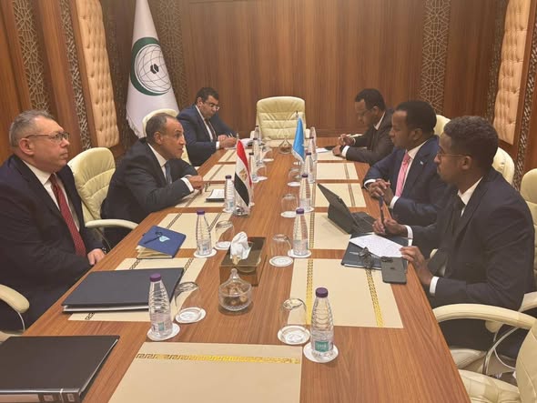 وزير الخارجية: مصر ترفض الإجراءات الأحادية ضد سيادة الصومال