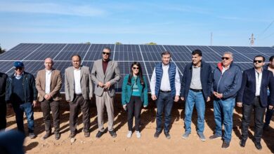 17 محطة طاقة شمسية لخدمة 3528 فدانًا في أسوان