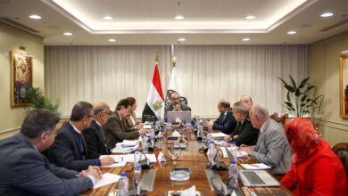 22.5 مليار جنيه تكلفة 737 مشروعًا لشركات قطاع الأعمال في 13 محافظة