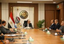 وزير قطاع الأعمال يشهد اتفاقية طاقة متجددة لأسمنت النهضة لمدة 30 عامًا