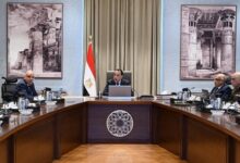 رئيس الوزراء يتابع جهود حماية نهر النيل وإزالة التعديات