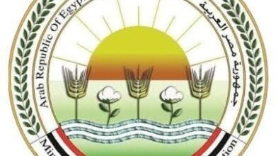 اليوم.. “الزراعة” تطلق حملة استثنائية لتحصين الثروة الحيوانية ضد الحمى القلاعية والوادي المتصدع