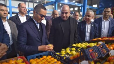 وزير الاستثمار يتفقد عددًا من المصانع بالمنطقة الاستثمارية بمدينة بنها