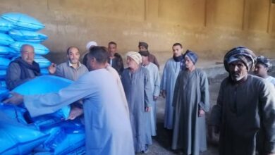 “الزراعة” تُكثف حملاتها الرقابية في 6 محافظات لوصول الأسمدة المدعمة لمستحقيها