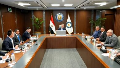 “شينج فا” الصينية تعتزم استثمار 2 مليار دولار في مصر بصناعات الفوسفات