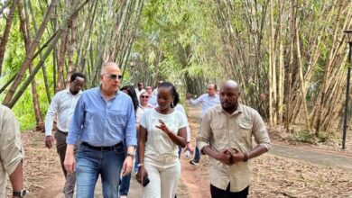 وزير الري: تجربة “محمية نيانديونغو” مثالًا عمليًا على دمج الاعتبارات البيئية في التخطيط الحضري