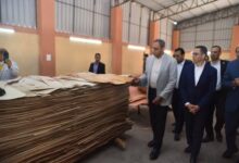 بتكلفة 3.3 مليون دولار .. مشروع إيجل وود يستهدف تصدير 70% من إنتاج ألواح الأبلكاش خارج مصر