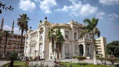 تجارة عين شمس تخفض مدة الدراسة إلى 3 سنوات وتطلق 8 تخصصات جديدة بنظام الساعات المعتمدة