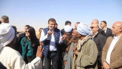 استجابة فورية لمطالب المزارعين.. وزير الزراعة يوجّه بحفر أحواض تخزين مياه وصرف الأسمدة كاملة بأسوان